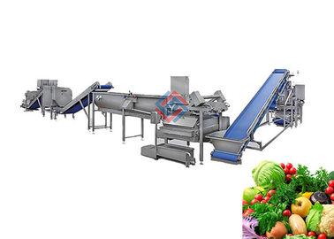 Commercial Fruit Vegetable Washer Machine , Vegetables Processing Line