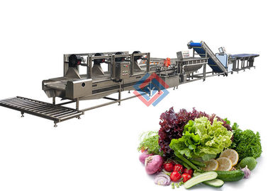 Salad Production Line Fruit And Vegetable Processing Washing Cutting Line