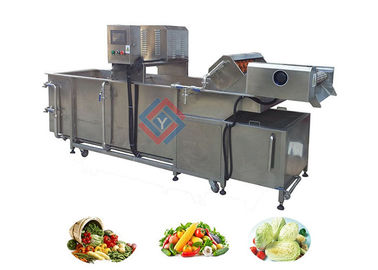 Air Bubble Type Fruit and Vegetable Washing Equipment Supplier
