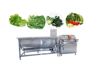 Bubbling Vegetable Fruit Washing Machine Salad Cleaning Frozen Vegetable Lettuce Production Line