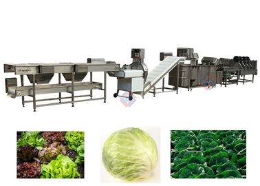 Lettuce Vegetable Processing Machinery Leafy Vegetable Processing Line