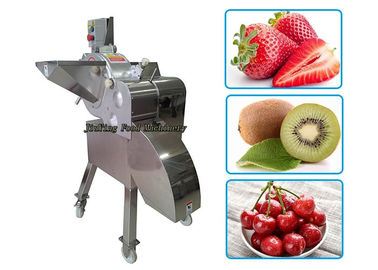 1500W Fruit Processing Equipment For Strawberry / Date / Mushroom / Pineapple