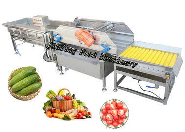 Automatic Salad Fruit Air Bubble Cleaning Production Line Customized