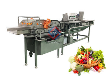 4.8KW Automatic Vegetable Fruit Washing Machine Vortex Type Lettuce Washer