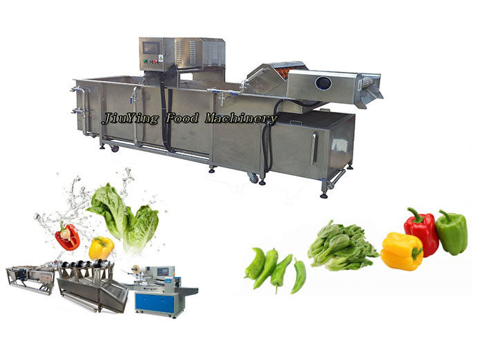 Customized Vegetable Fruit Washing Machine Salad Lemon Orange Parsley