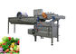 Vortex Type Vegetable Fruit Washing Machine with Deslagging Function