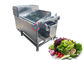 Single Tank Leafy Spinach Vegetable Washing Machine Manufacturers