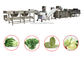 Automatic Salad Production Line Leaf Vegetable Cutting And Washing Production Line