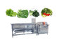 Bubbling Vegetable Fruit Washing Machine Salad Cleaning Frozen Vegetable Lettuce Production Line