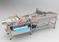 Customized Salad Production Line Vegetable Fruit Washing and Cleaning Machine