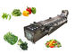IQF Salad Production Line Vegetable Fruit Potato Chips Porcessing Machinery