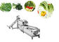Auto Salad Production Line Washing Cleaning Frozen Vegetable Bubble Washer