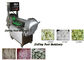 1900W Vegetable Processing Equipment Cabbage Lettuce Spinach Chopping Cutting Carrot Shredder