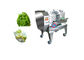500KG/H Fermented Vegetable Processing Equipment / Green Salad Chopper Cutting Machine