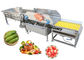 Automatic Salad Fruit Air Bubble Cleaning Production Line Customized