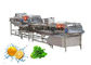 3.75KW Fruit And Vegetable Cleaning And Disinfecting Machine 1 Year Warranty