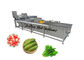 3.75KW Fruit And Vegetable Cleaning And Disinfecting Machine 1 Year Warranty
