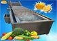 Industrial Cleaning And Drying Machine For Vegetable And Fruit 1-3T/H Capacity