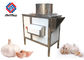 304 Stainless Steel  Garlic Separating Machine High Outpout 500KG/H