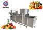 Fruit And Vegetable Bubble Cleaning Machine , Chinese Cabbage Washing Machine