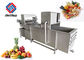 Automatic Air Bubble Vegetable And Fruit Washing Machine For Food Processing Industry