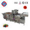800KG/H Capacity Vegetable Cleaning Machine With Sand Blasting Surface