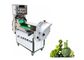 Leafy And Root Vegetable Processing Equipment Multifunctional 110V 2.5KW