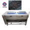 Root Vegetable Potato Washing And Peeling Machine With Wheels Convenient