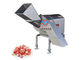 Commercial Frozen Smoke Meat Dicer Machine Cutting Size 5-25mm