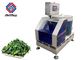 Standardized Vegetable Processing Equipment / Fruit  Dehydration Machine Stable Performance