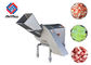 Small Vegetable Dicer Machine / Tomato Cuber Machine 1000KG/H Output