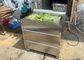 Customized 60Hz Vegetable Fruit Washing Machine