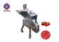 Commercial 500KG/H 380V Tomato Cube Cutting Machine