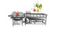 3000KG/H Vegetable Fruit Washing Machine Salad Cleaning equipment