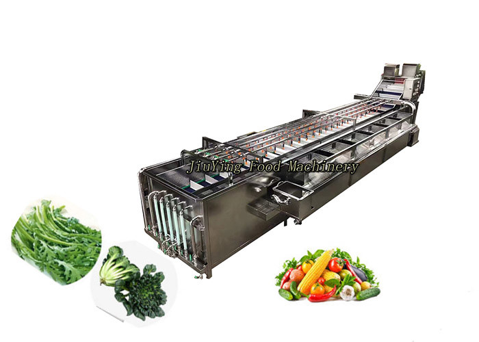 Customized Salad Production Line Vegetable Fruit Washing and Cleaning ...