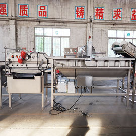 Multi - Functional Salad Production Line  / Spinach Vegetable Processing Line