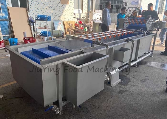 Air Bubble Type Vegetable Fruit Washing Machine 1.5T/H With Spraying Nozzels