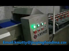 JY-5200 Vegetable Washer