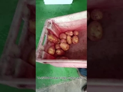 JIUYING High Performance Food and Potato Crinkle-Cut French Fries Cutting Machine