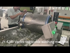 Ozone Fruit And Vegetable Bubble Cleaning Machine For Salad Processing