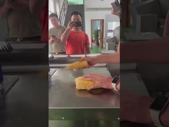 Meat Band Saw