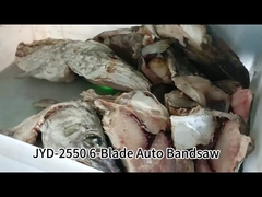 6-Blades Auto Vertical Bandsaw Machine Cutting Frozen Fish With Touch Screen Control