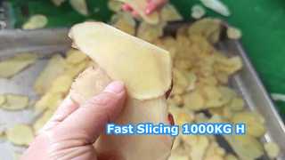 1000KG/H Centrifugal Slicer Machine