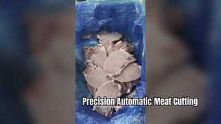 JYX-420 Automatic Single-Cut Meat Bandsaw with 0-45 Degree Cutting Angle